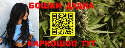 амф Обь