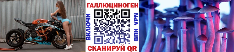 Псилоцибиновые грибы мицелий Сокол