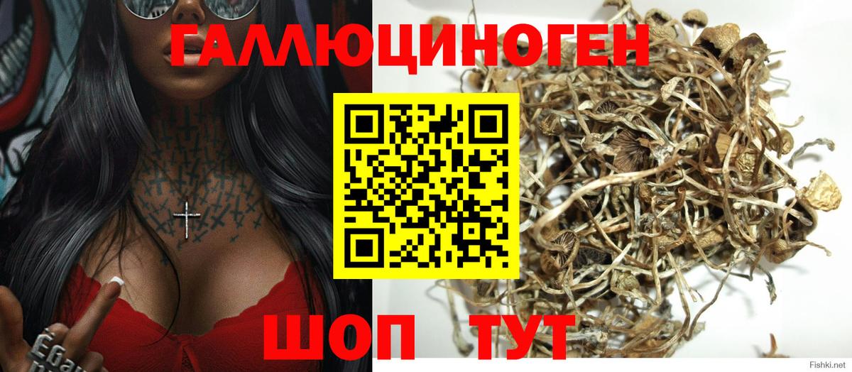 Галлюциногенные грибы Magic Shrooms  Вход с VPN  Сокол 