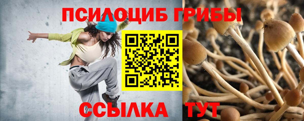 Галлюциногенные грибы прущие грибы Сокол